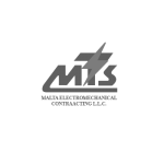 Netwrok International web design